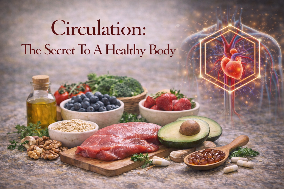 Circulation: The Secret To A Healthy Body