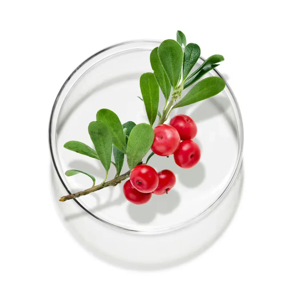 5 Best Kidney Detox Foods That You Probably Haven't Heard Of