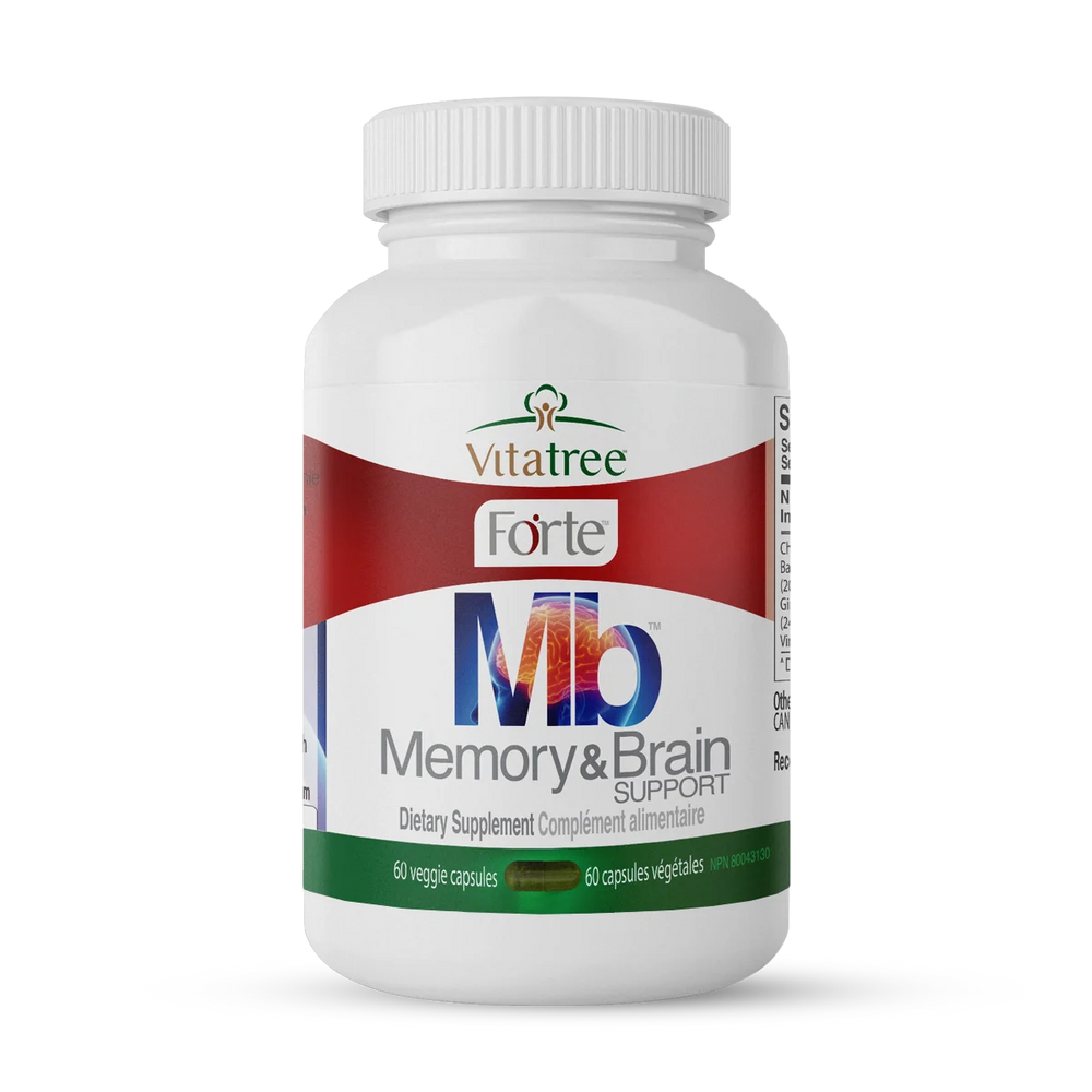 Memory and Brain Support