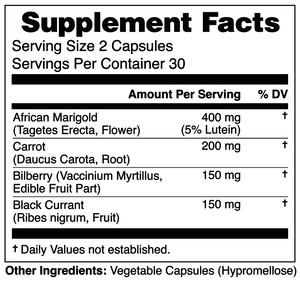 Eye and Vision Support