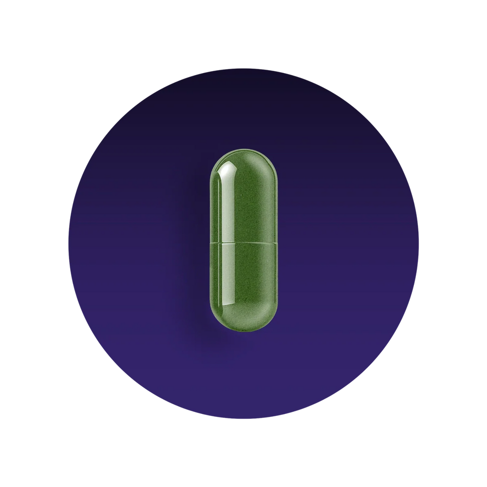 Memory and Brain Support