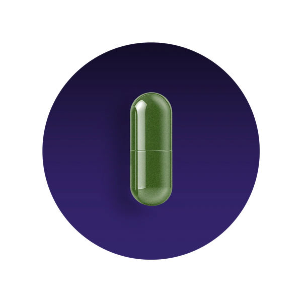 Memory and Brain Support